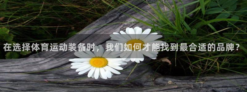 谈球吧体育：在选择体育运动装备时，我们如何才能找到最合适的品牌？