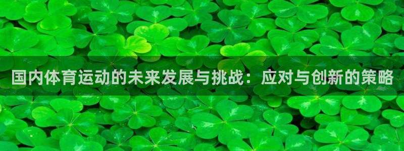 谈球吧：国内体育运动的未来发展与挑战：应对与创新的策略