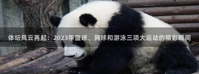 谈球吧体育官网：体坛风云再起：2023年篮球、网球和游泳三项大运动的精彩瞬间