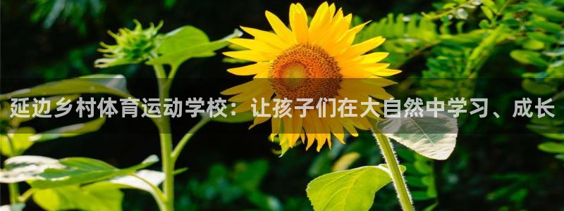 谈球吧体育官网：延边乡村体育运动学校：让孩子们在大自然中学习、成长