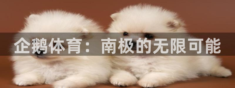 谈球吧：企鹅体育：南极的无限可能