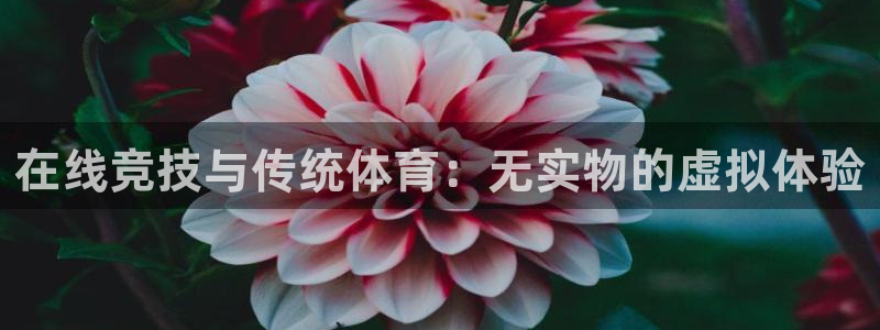 谈球吧体育官网：在线竞技与传统体育：无实物的虚拟体验