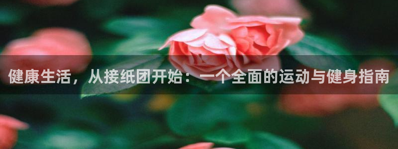 谈球吧体育官网：健康生活，从接纸团开始：一个全面的运动与健身指南