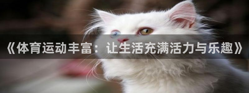 谈球吧：《体育运动丰富：让生活充满活力与乐趣》