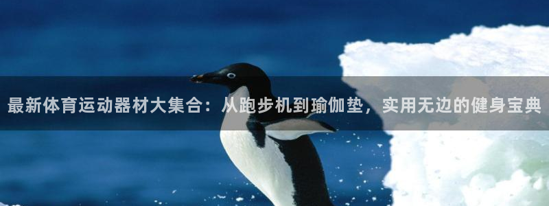 谈球吧体育官网：最新体育运动器材大集合：从跑步机到瑜伽垫，实用无边的健身宝典