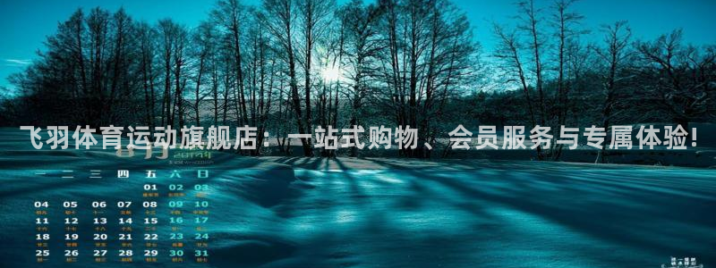 谈球吧：飞羽体育运动旗舰店：一站式购物、会员服务与专属体验!