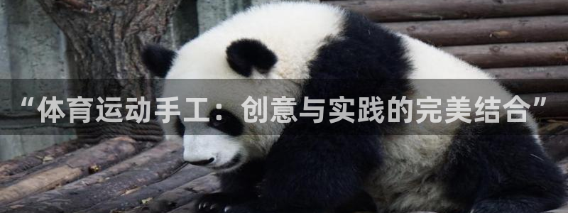 谈球吧体育官网：“体育运动手工：创意与实践的完美结合”
