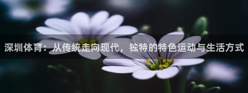 谈球吧：深圳体育：从传统走向现代，独特的特色运动与生活方式